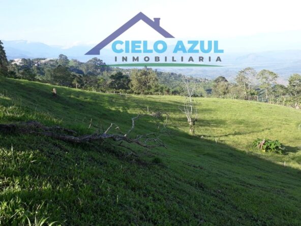 WhatsApp Image 2024 03 18 at 6.02.25 PM 2 1