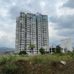 WhatsApp Image 2025 02 21 at 11.47.52 AM 1 1