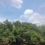 WhatsApp Image 2025 04 26 at 5.23.03 PM