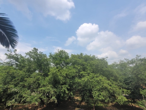 WhatsApp Image 2025 04 26 at 5.23.03 PM